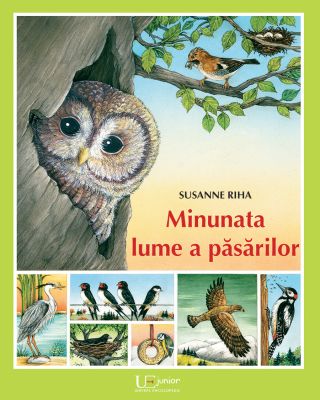Minunata lume a pasarilor