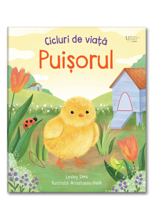 Cicluri de viata. Puisorul (Usborne)