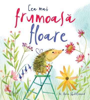 Cea mai frumoasa floare (Quarto)