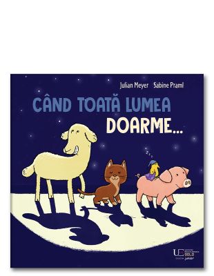 Cand toata lumea doarme