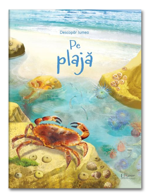 Pe plaja (Usborne)