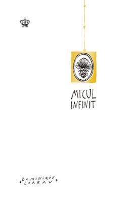 Micul Infinit