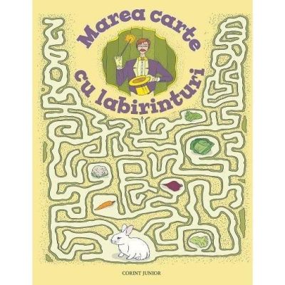 MAREA CARTE CU LABIRINTURI