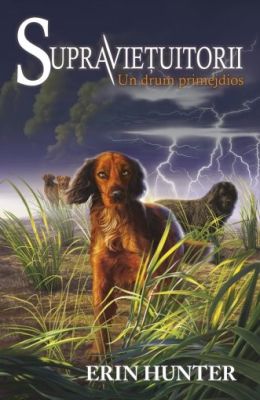 Supravietuitorii vol. IV Un drum primejdios
