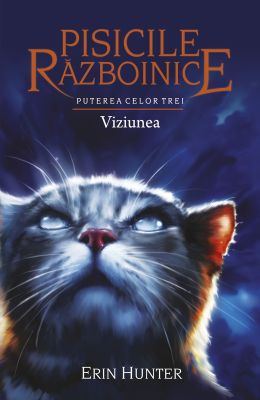 Pisicile razboinice. Puterea celor trei vol.XIII Viziunea