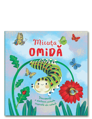Micuta omida