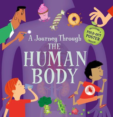 A Journey Through The Human Body