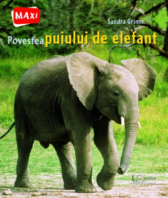 Povestea puiului de elefant