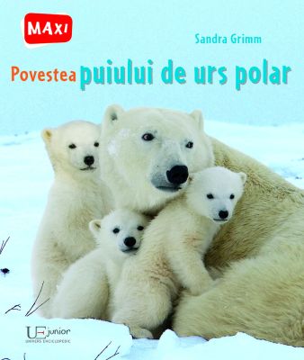 Povestea puiului de urs polar