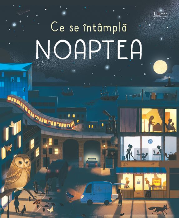 Ce Se Intampla Noaptea Usborne